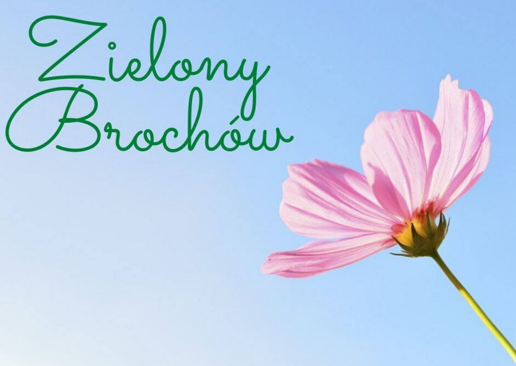 Na niebieskim tle widać kwiatek i zielony napis Zielony Brochów