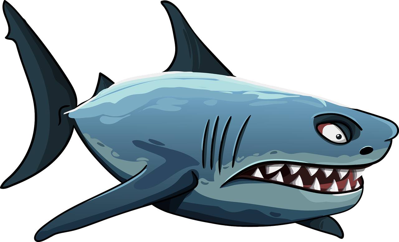 Obrazek przedstawia rysunkowego rekina